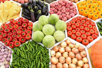 Фотография к новости: Токаеву рассказали о продовольственной безопасности Астаны