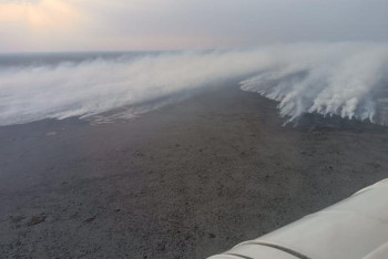 Фотография к новости: 830 гектаров камыша сгорело в Атырауской области