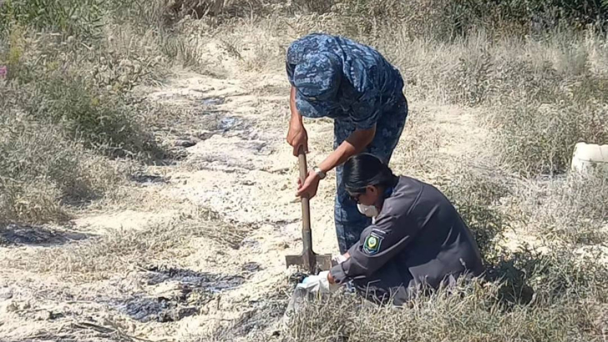 департамент экологии ВКО