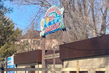 Фотография к новости: Питомцев зоопарка Караганды накормили мороженым