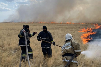 Фотография к новости: Семь тысяч гектаров сухостоя сгорели в ЗКО