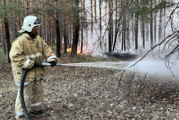 Фотография к новости: Пожар на горе Кокше тушат в Боровом