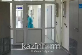 Фотография к новости: Более 20 дней находится в коме укушенный змеёй ребенок из Балхаша