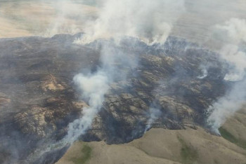 Фотография к новости: В горах Баянаульского нацпарка тушат крупный пожар