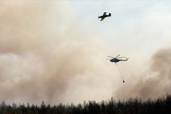 Фотография к новости: В Турции бушуют лесные пожары