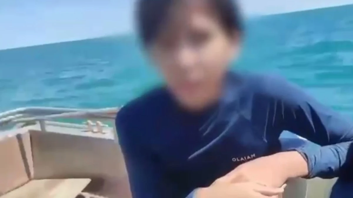 скриншот с видео