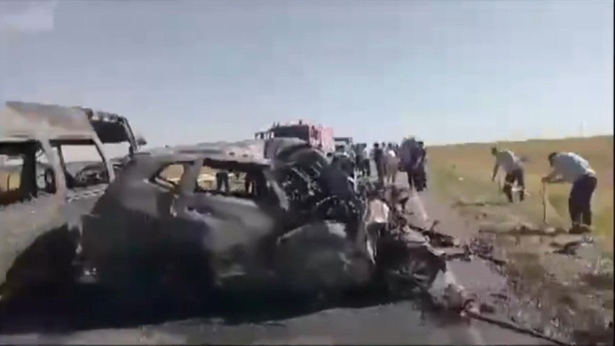 кадр из видео