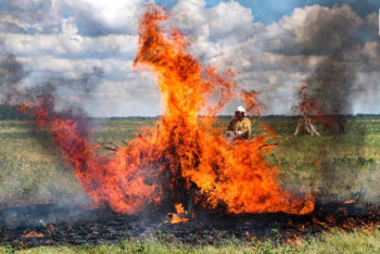 Фотография к новости: Режим ЧС объявят в Павлодарской области из-за лесного пожара