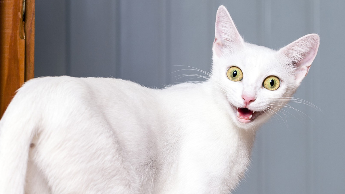 depositphotos/points