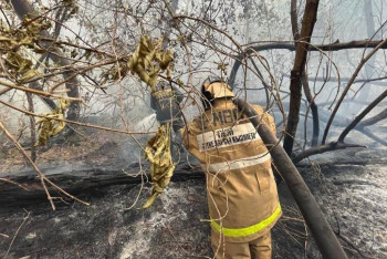 Фотография к новости: В два раза выросла зарплата у работников природоохранных служб