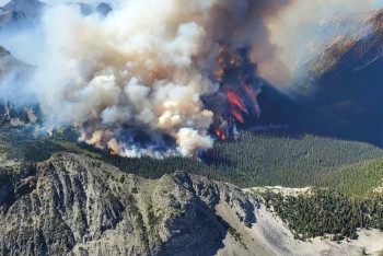 Фотография к новости: В Канаде сгорело рекордное количество леса - 10 миллионов гектаров