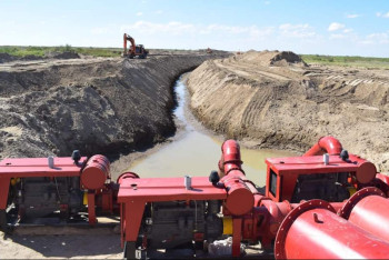 Фотография к новости: Убытки несут хозяйства в Кызылординской области из-за нехватки поливной воды