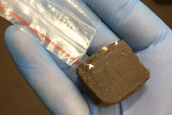 Манты с гашишем пытались доставить в СИЗО Астаны