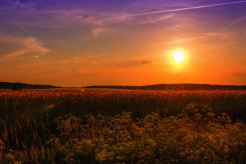 Фотография к новости: Какой будет погода в регионах Казахстана 21 июля