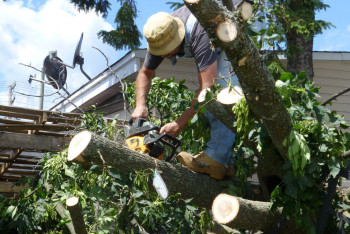 Фотография к новости: Ураган в Караганде снёс деревья и покрытие на детской площадке