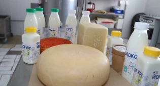 Предприниматели из Мангистау впервые примут участие в международном конкурсе сыров