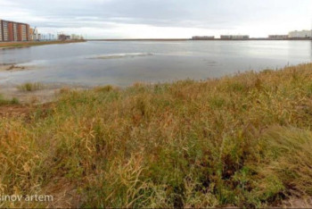 Фотография к новости: Верховный суд поставил точку в деле об озёрах Малый Талдыколь