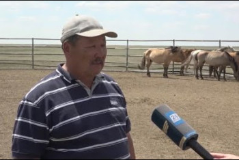 Фотография к новости: Производство кумыса механизировал фермер из ЗКО