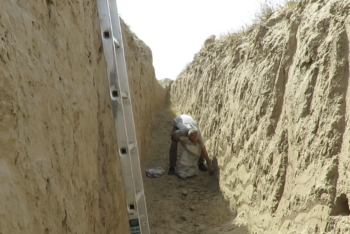 Почему дикие животные продолжают массово гибнуть в фермерских траншеях