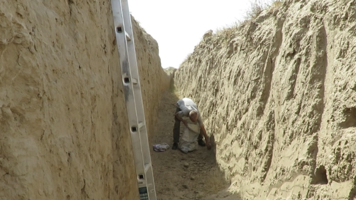 Марк Пестов