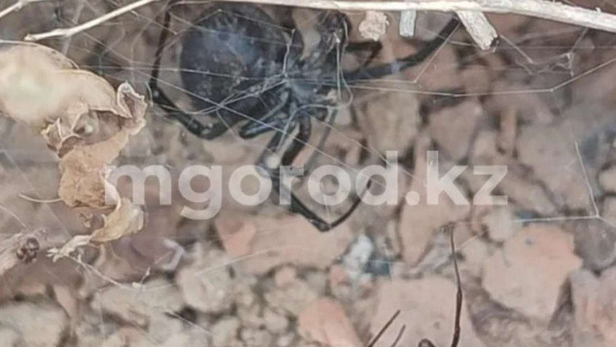 mgorod.kz