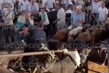 Фотография к новости: Самосуд над вором устроили жители Туркестанской области