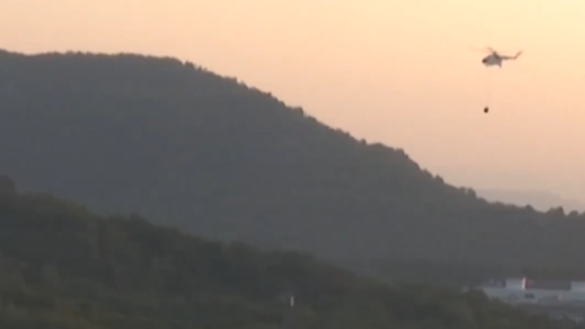 instagram.com/anadoluajansi