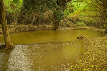 Фотография к новости: Об угрозе селей и паводков предупредили жителей Алматинской области