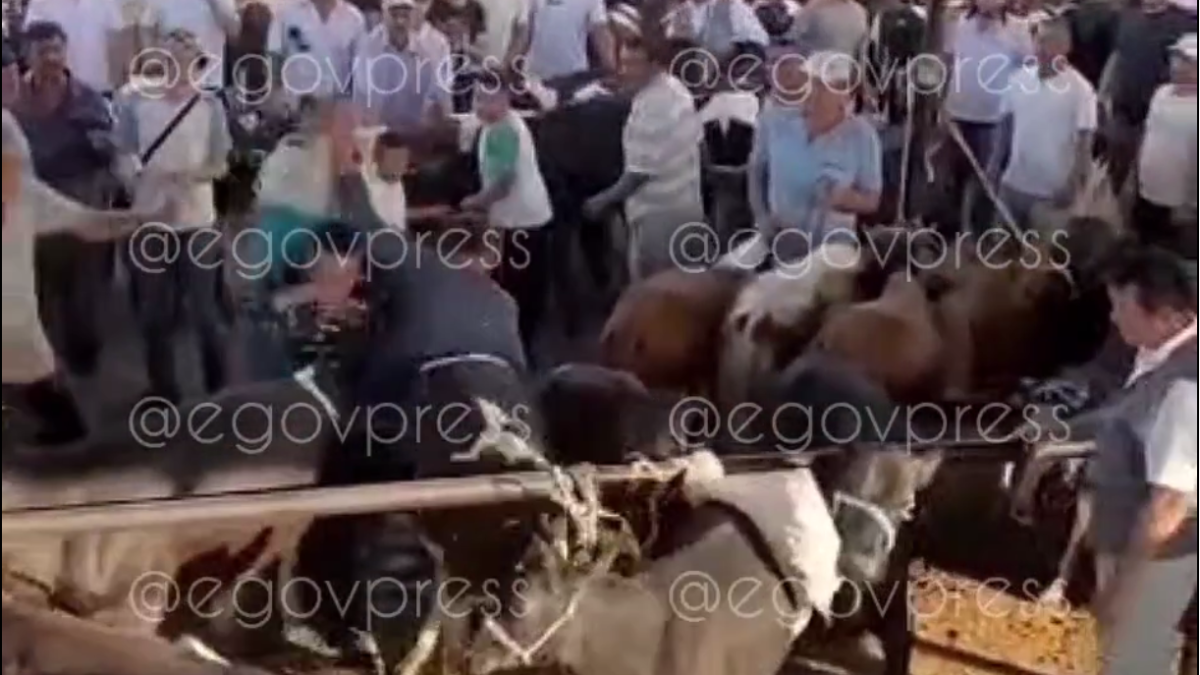 кадр из видео