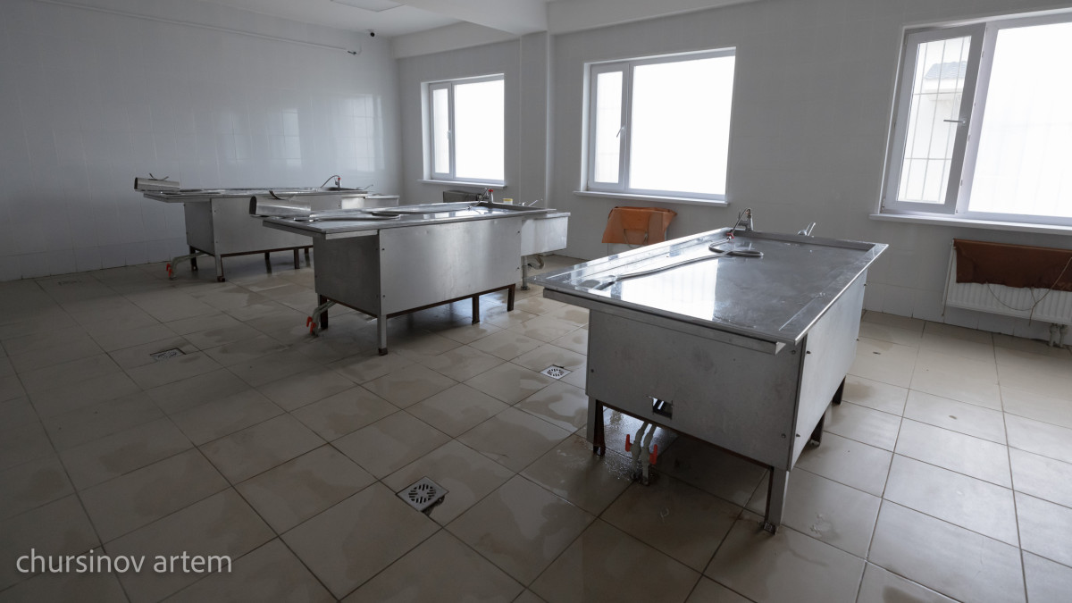 Артем Чурсинов.