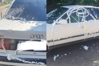 Фотография к новости: Разъярённая мать облила автомобиль пенсионера монтажной пеной в Карагандинской области