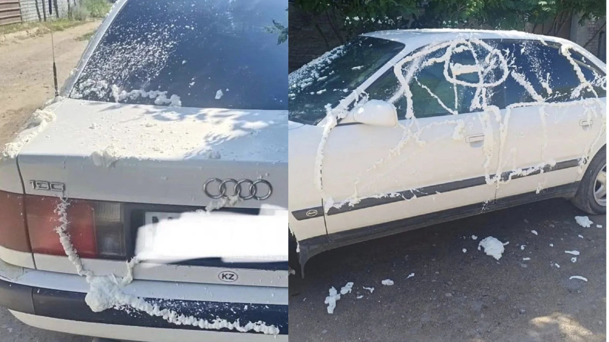 t.me/patriot_patriot