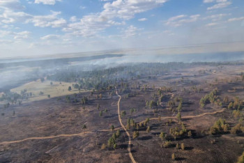 Фотография к новости: Лесной пожар в Бескарагае ликвидирован