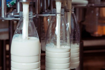 Фотография к новости: "Нас не слышат":  казахстанские производители молока заявили о давлении