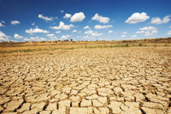 Фотография к новости: Пострадавшим от засухи фермерам могут продлить срок уплаты кредитов