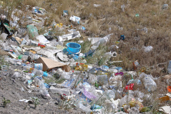 Фотография к новости: В Жетысу нелегально работали 49 полигонов ТБО