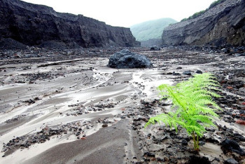 Фотография к новости: Угроза селя: туристов и жителей Алматы просят не ходить в горы