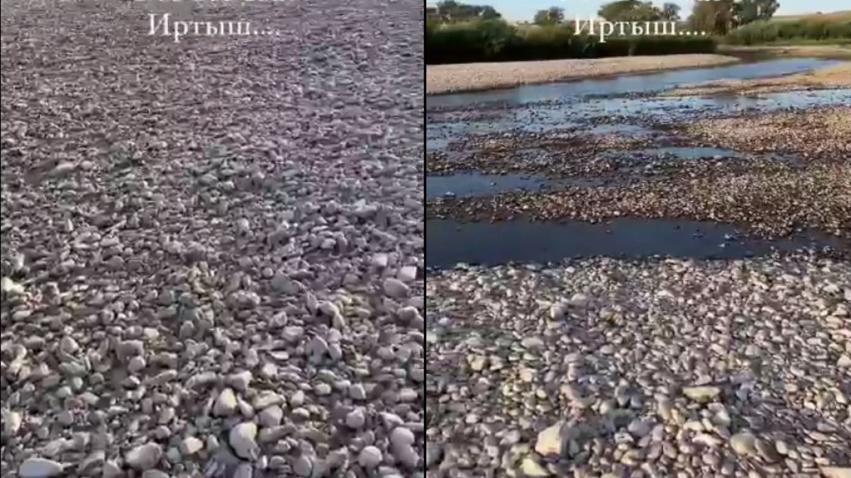 кадры из видео