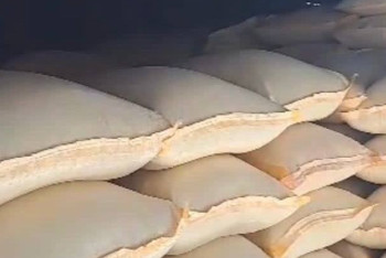 Фотография к новости: Удобрения на 80 миллионов тенге украла преступная группа в Жамбылской области