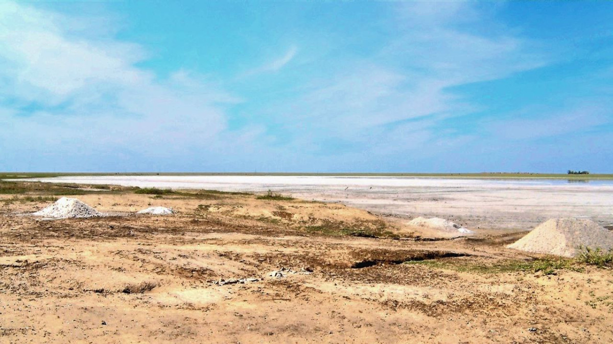 Катерина Приходько