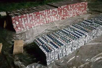 Фотография к новости: Более двух миллионов пачек сигарет обнаружены на складе в Алматинской области