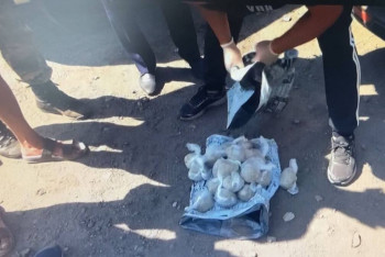 Фотография к новости: Марихуану обнаружили в авто и гараже сельчанина в ВКО