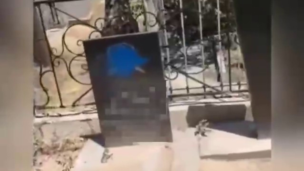 скриншот видео