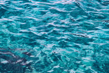 Фотография к новости: Почему посинела Усолка: экологи Павлодара нашли причину