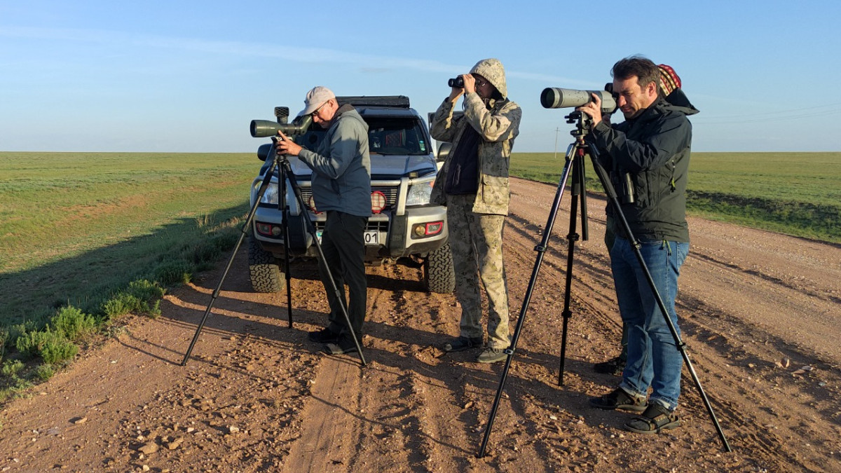 Дэннис Уразалиев, АСБК