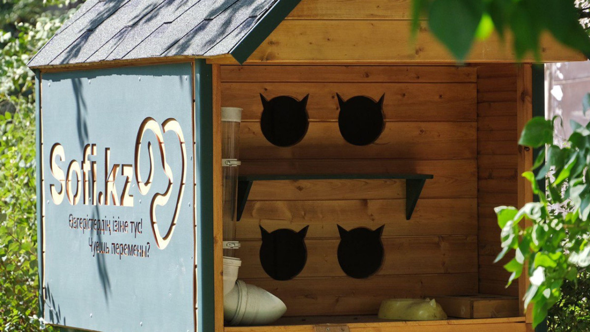 Жильё для бездомных кошек устанавливают в Алматы