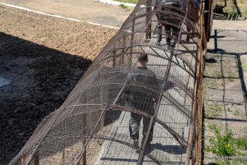 Фотография к новости: Заключённый сумел обмануть жительницу Уральска почти на 500 тысяч тенге