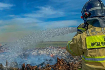 Фотография к новости: Пожар в "Семей Орманы" удалось локализовать