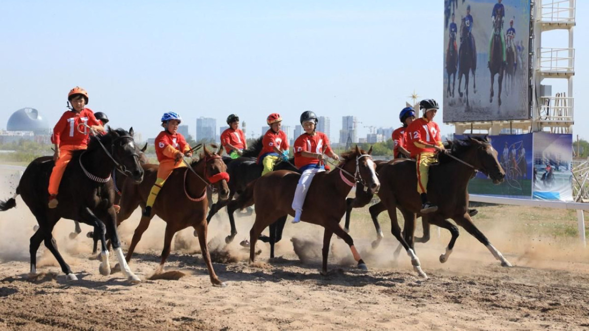 организаторы