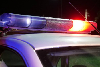 Фотография к новости: Два трупа и ребёнка в коляске обнаружили на дороге полицейские СКО